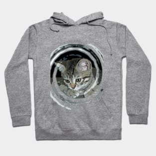 Cute baby cat Hoodie